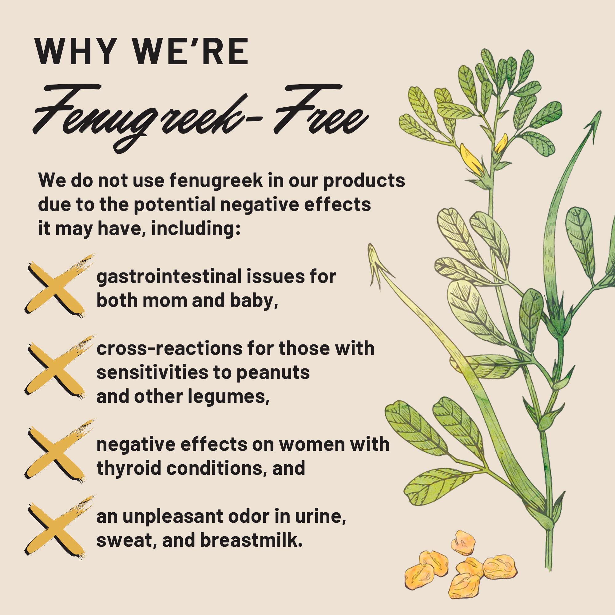 Legendairy Milk Cash Cow Lactation Supplement, Moringa, Alfalfa, and Goat's Rue Breastfeeding Supplement for Milk Supply Increase, Fenugreek-Free, Certified Organic, Vegan, Non-GMO, 60 Capsules thumbnail 8