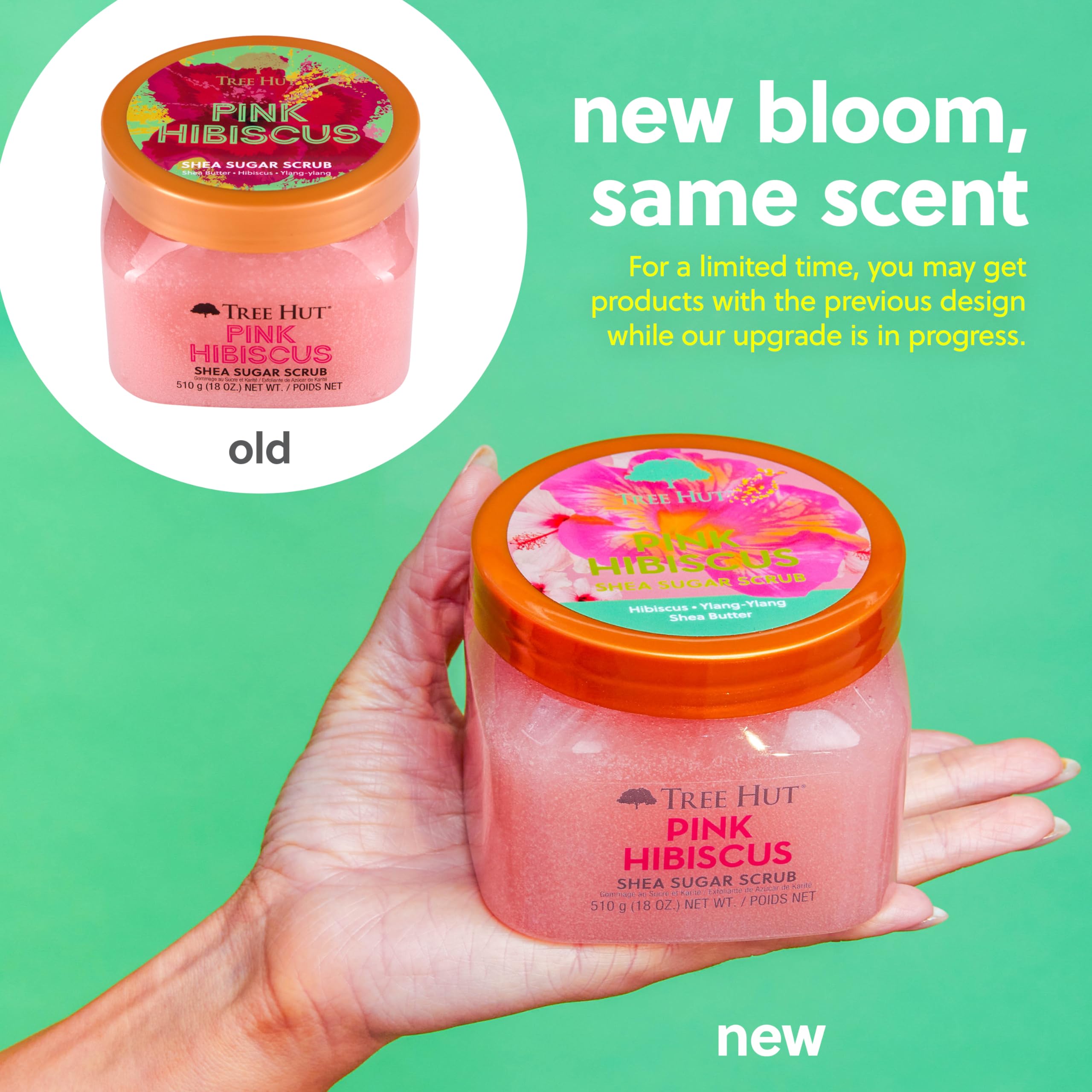 Tree Hut  Shea Sugar Scrub | Exfoliating Body Scrub Removes Dead, Dry Skin for a Soft & Hydrated Feel | Nourishing Essential Body Care | 18 fl oz.: Pink Hibiscus