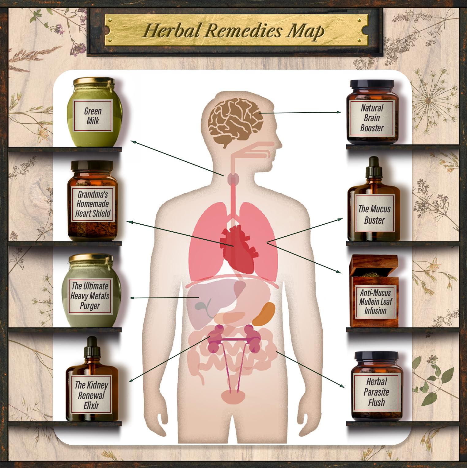 Forgotten Home Apothecary : 250 Powerful Remedies at Your Fingertips: Paperback