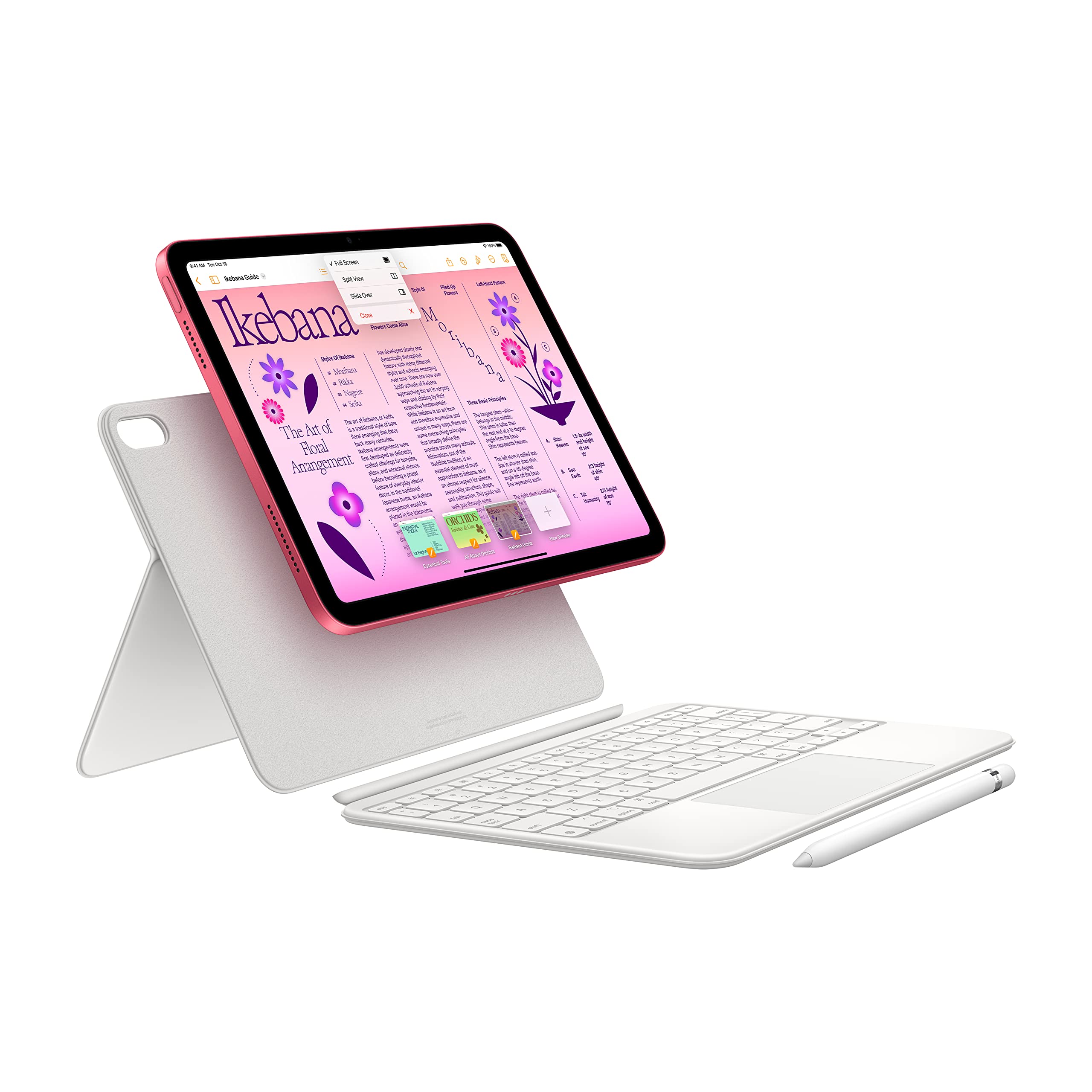 Apple 2022 iPad (10.9-inch, Wi-Fi, 64GB) - Silver (Renewed Premium)