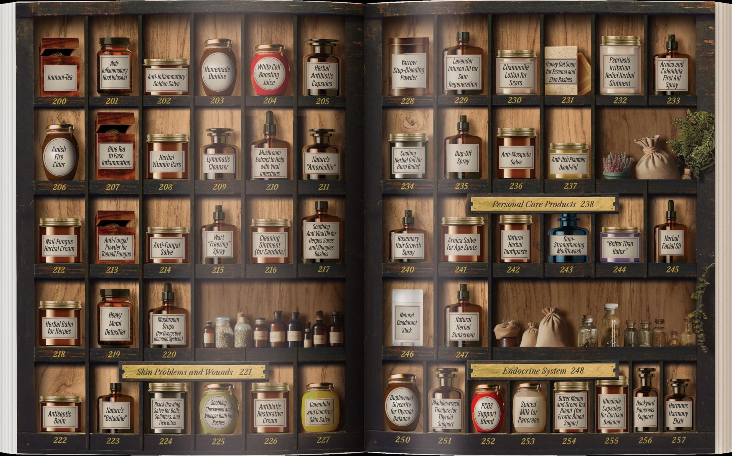 Forgotten Home Apothecary : 250 Powerful Remedies at Your Fingertips: Paperback