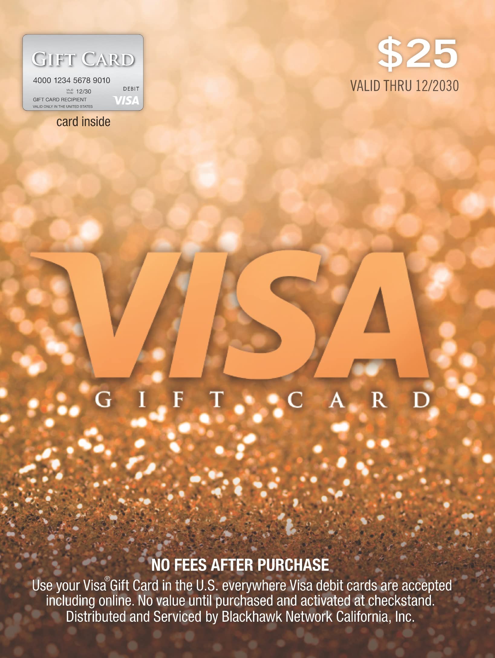 Visa $25 Gift Card (plus $3.95 Purchase Fee): Visa $25 Gift Card (plus $3.95 Purchase Fee)