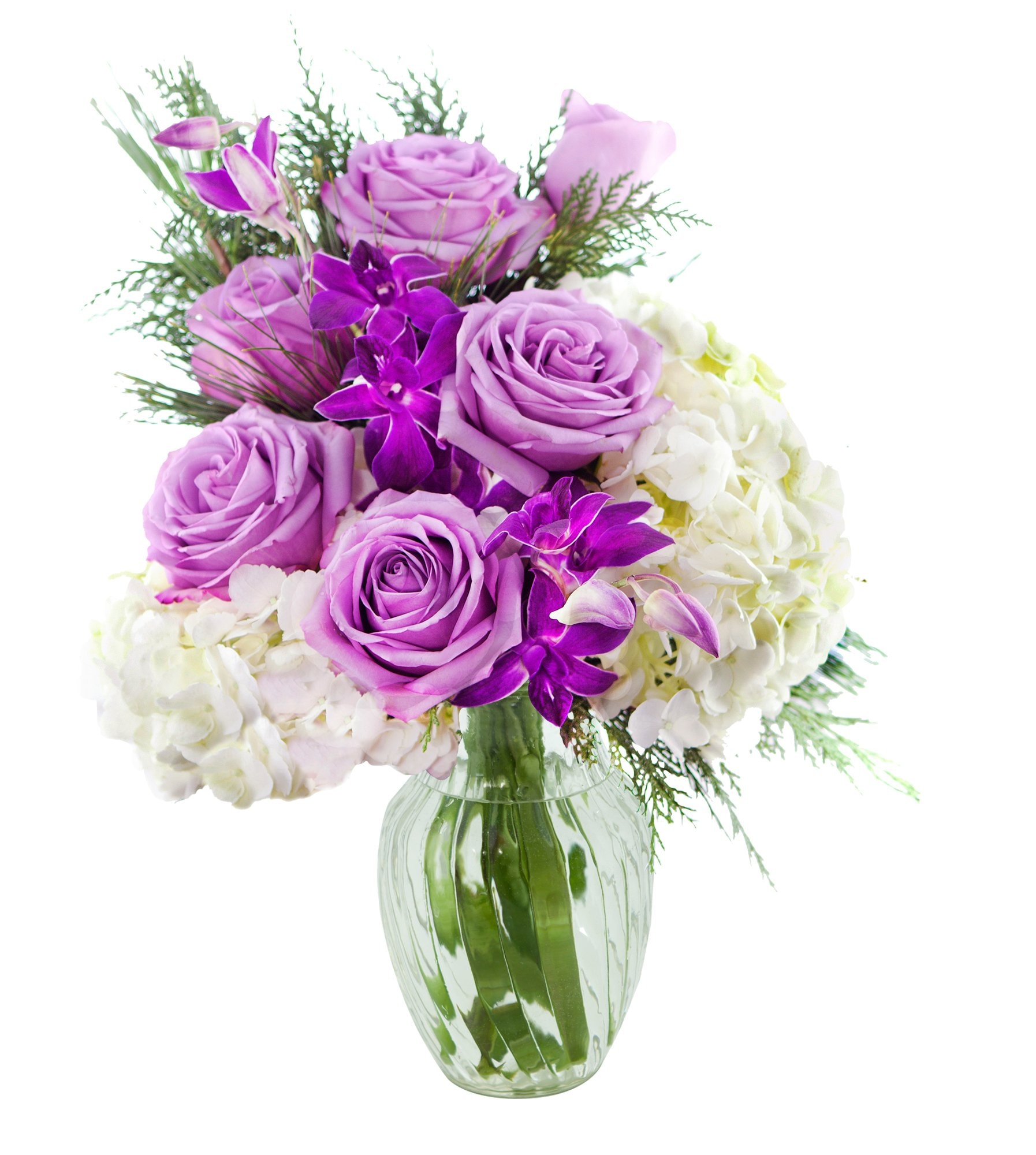 KaBloom Flowers - Mother's Day Collection - Bouquet of Purple Roses,White Hydrangea,Purple Orchids and Greens with Vase.Gift for Birthday, Anniversary, Mother’s Day Fresh Flowers: With vase Slight Night