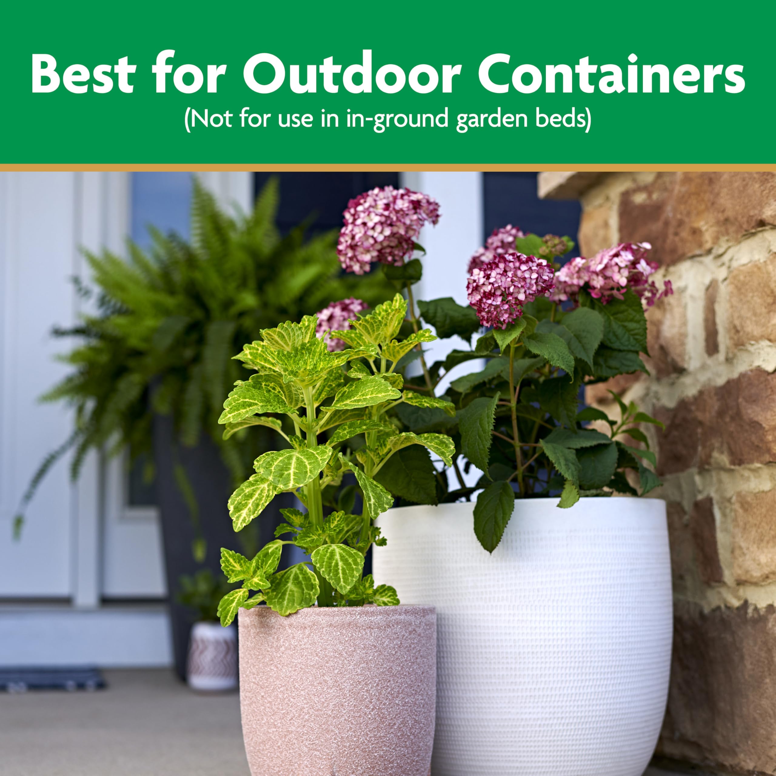 Miracle-Gro Moisture Control Potting Mix, For Container Plants, Protects against Over- and Under-Watering, 8 qt., 2-Pack thumbnail 4