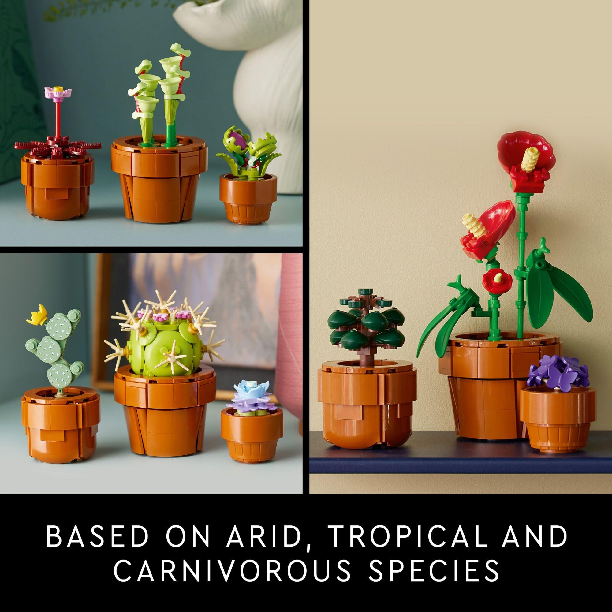 LEGO Botanicals Tiny Plants - Artificial, Fake Indoor Plant Building Set for Home, Kitchen, Desk Decoration, Adults Ages 18+ - Gift for Graduation - 10329: LEGO Botanicals Tiny Plants - Artificial, Fake Indoor Plant Building Set for Home, Kitchen, Desk Decoration, Adults Ages 18+ - Gift for Graduation - 10329