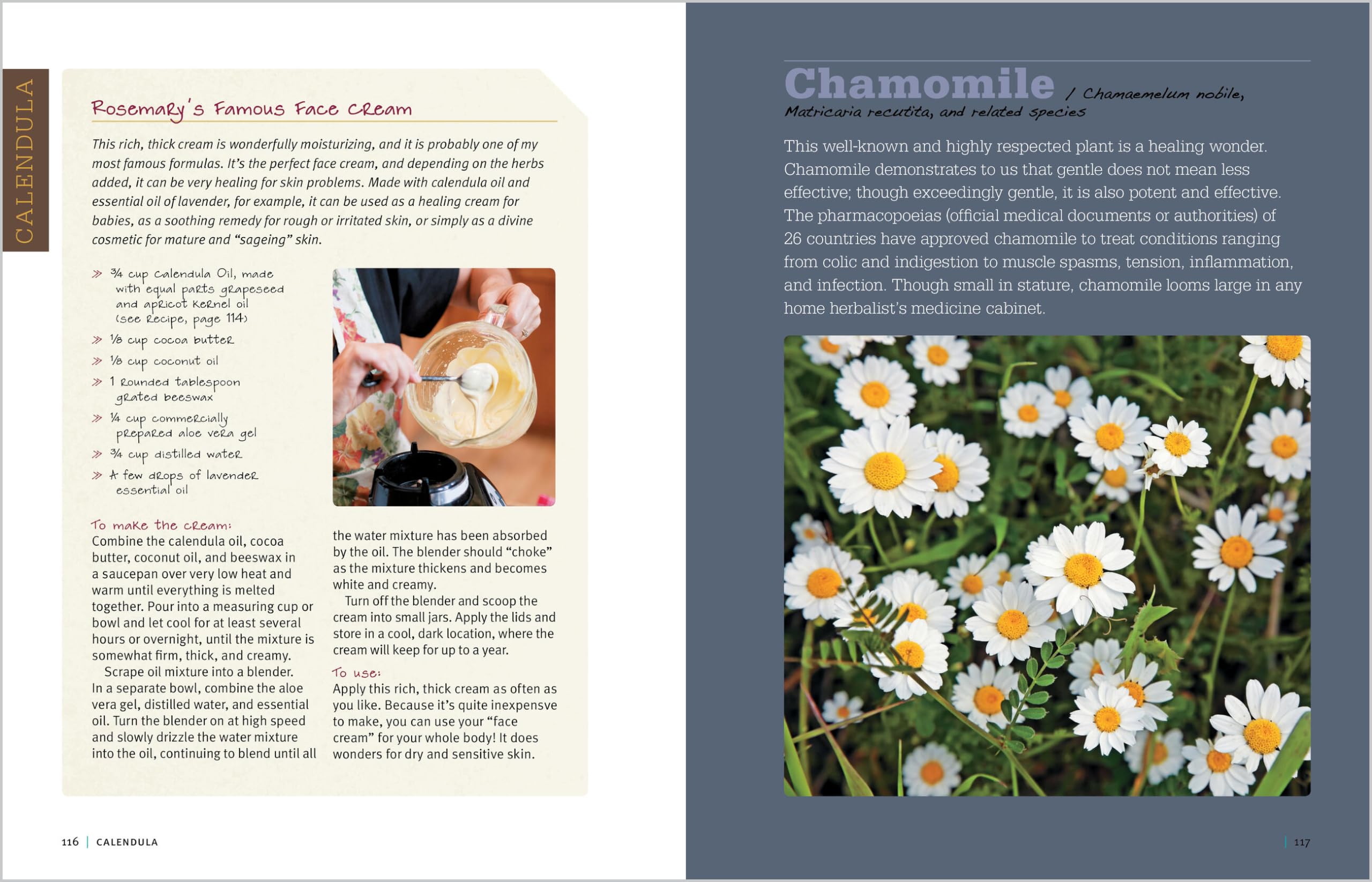 Rosemary Gladstar's Medicinal Herbs: A Beginner's Guide: 33 Healing Herbs to Know, Grow, and Use thumbnail 8