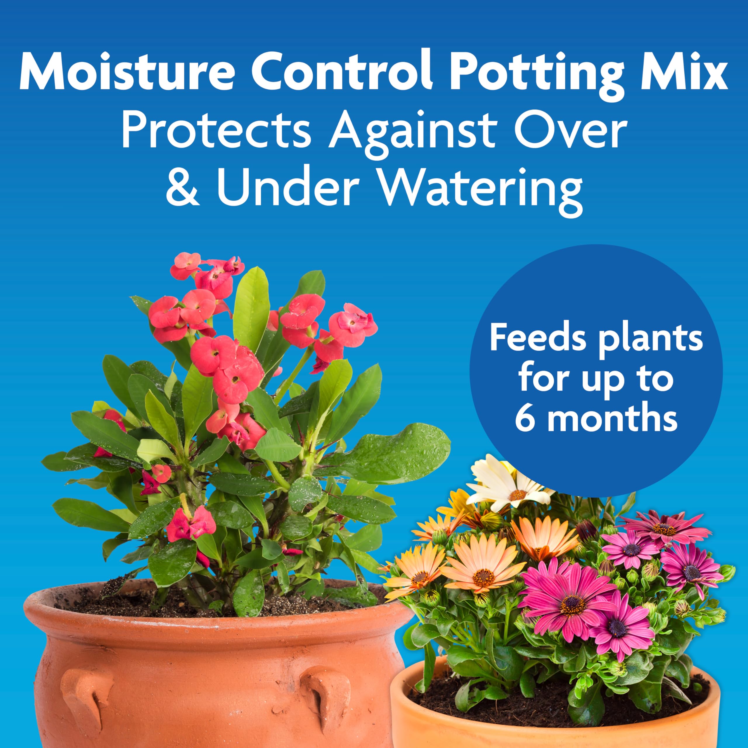 Miracle-Gro Moisture Control Potting Mix, For Container Plants, Protects against Over- and Under-Watering, 8 qt., 2-Pack thumbnail 3