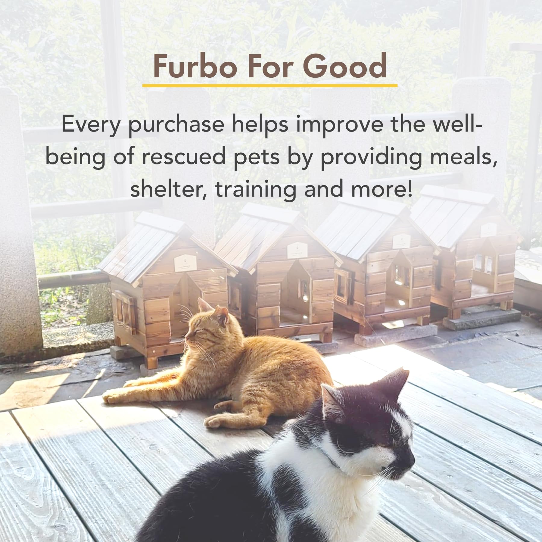 Furbo 360° Dog Camera - Unlock with Paid Plan: Home Security & Dog Safety Alerts, Rotating Pet Treat Dispenser w/ 2-Way Speaker, Smart Indoor Cam w/Phone App (3mo Minimum Subscription Required): Cat Cam (No Subscription Required)