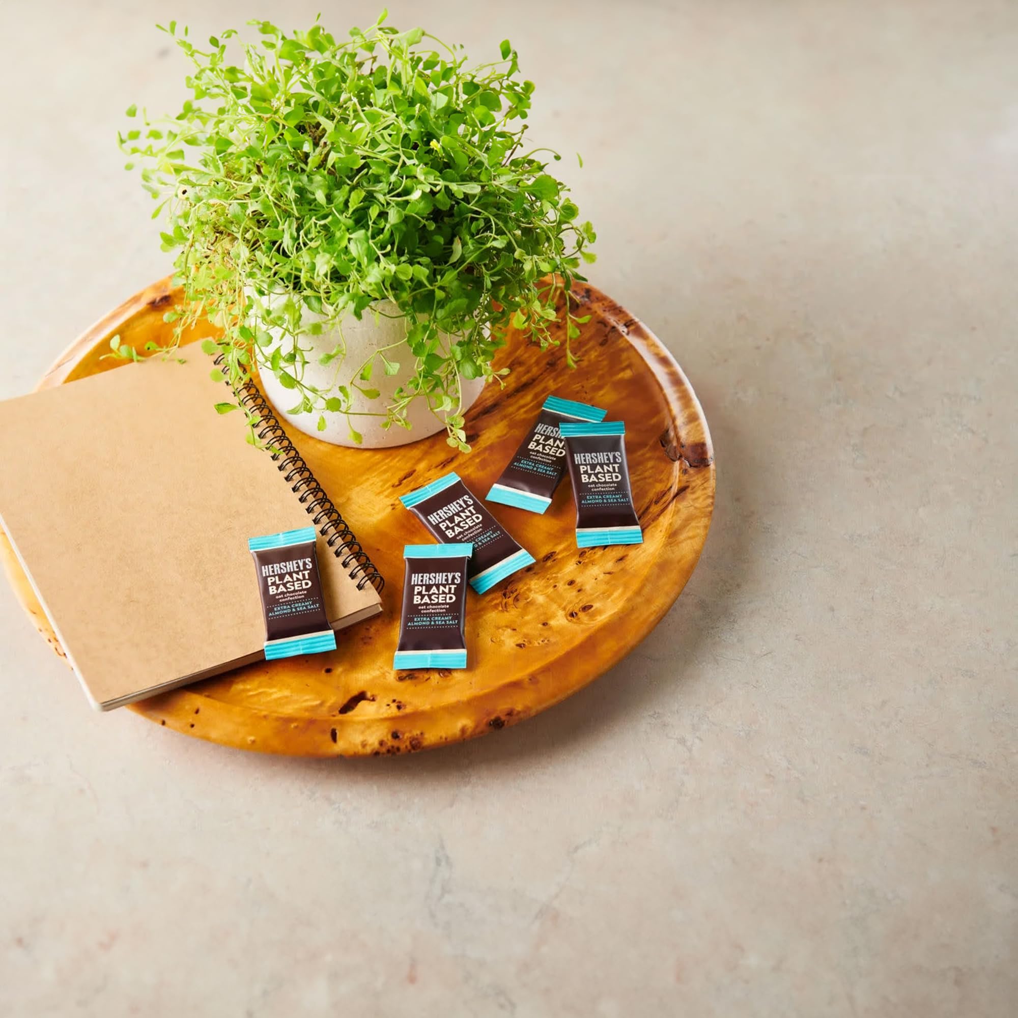 Plant-Based Miniature Oat Chocolate Candy - 2 Pack Vegan, Extra Creamy with Almond and Sea Salt, Individually Wrapped Candies: Plant-Based Miniature Oat Chocolate Candy - 2 Pack Vegan, Extra Creamy with Almond and Sea Salt, Individually Wrapped Candies