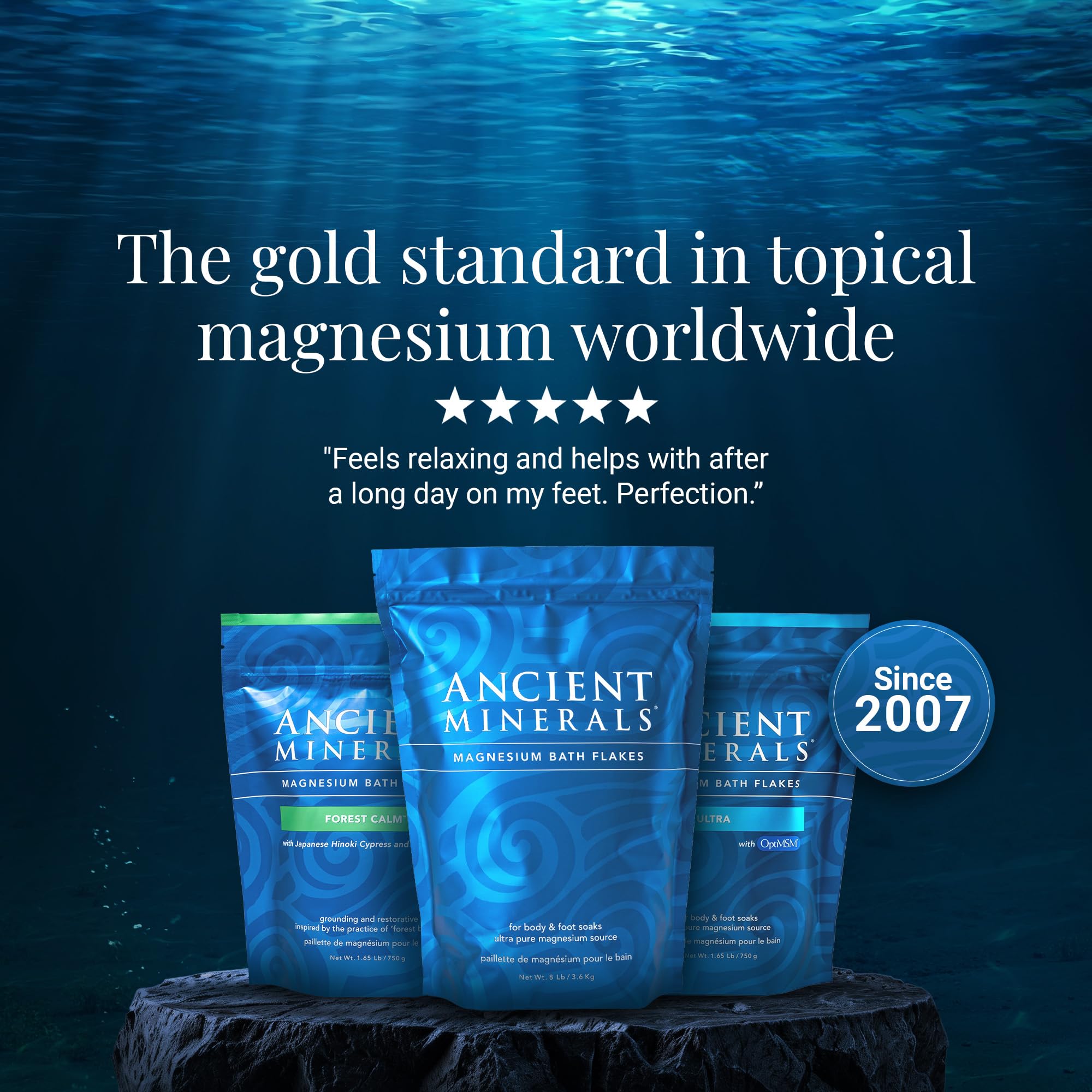 Ancient Minerals Magnesium Bath Flakes – Pure Zechstein Magnesium Chloride for Soaking and Whole-Body Replenishment, 8 lb Bag: 26.4 Ounce (Pack of 1)