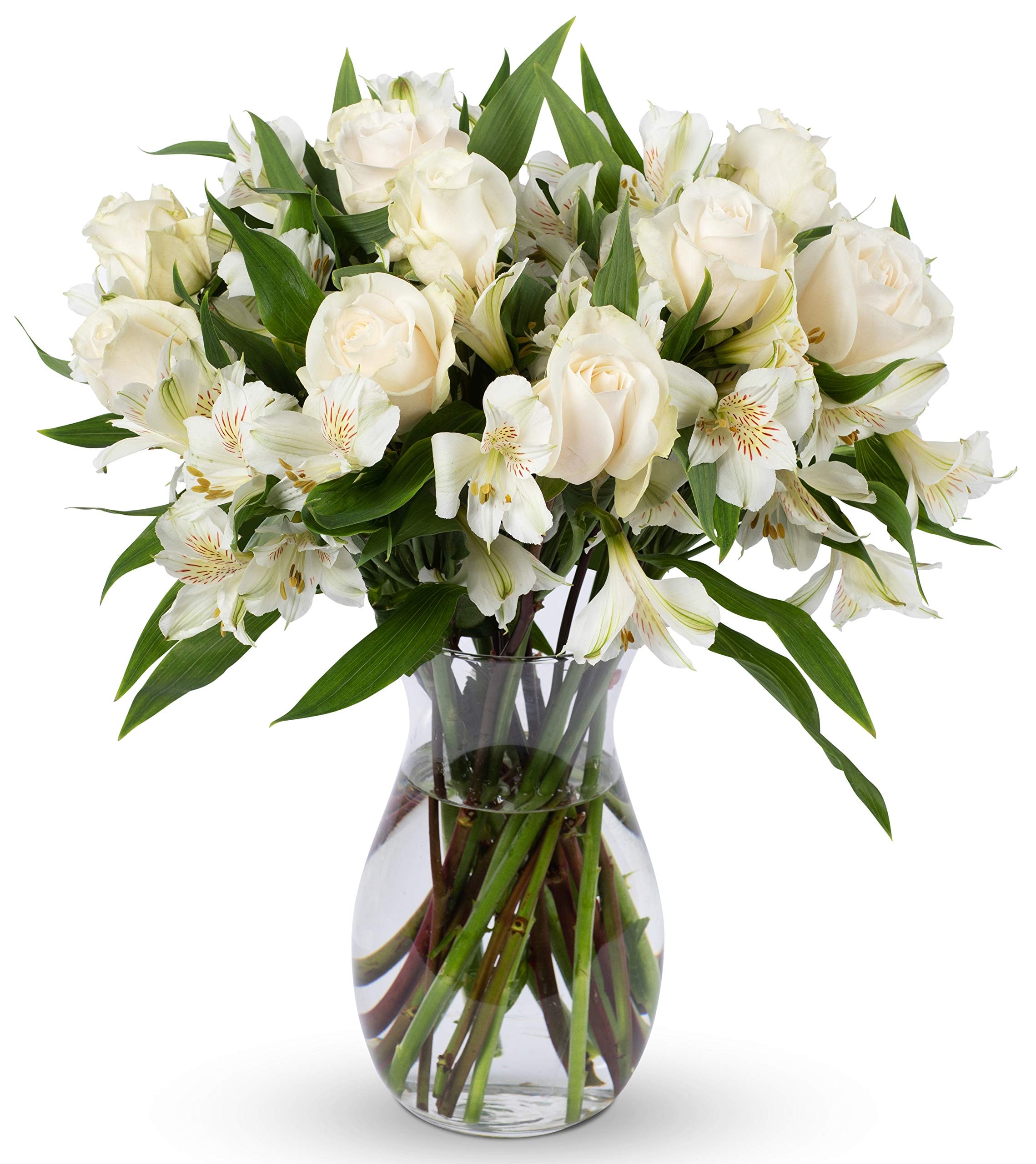 Benchmark Bouquets - Elegance Roses & Alstroemeria (Glass Vase Included) - Fresh Flowers for Delivery - Gift for Mother’s Day, Birthday, Anniversary, Sympathy, Get Well, Congratulations: White/White