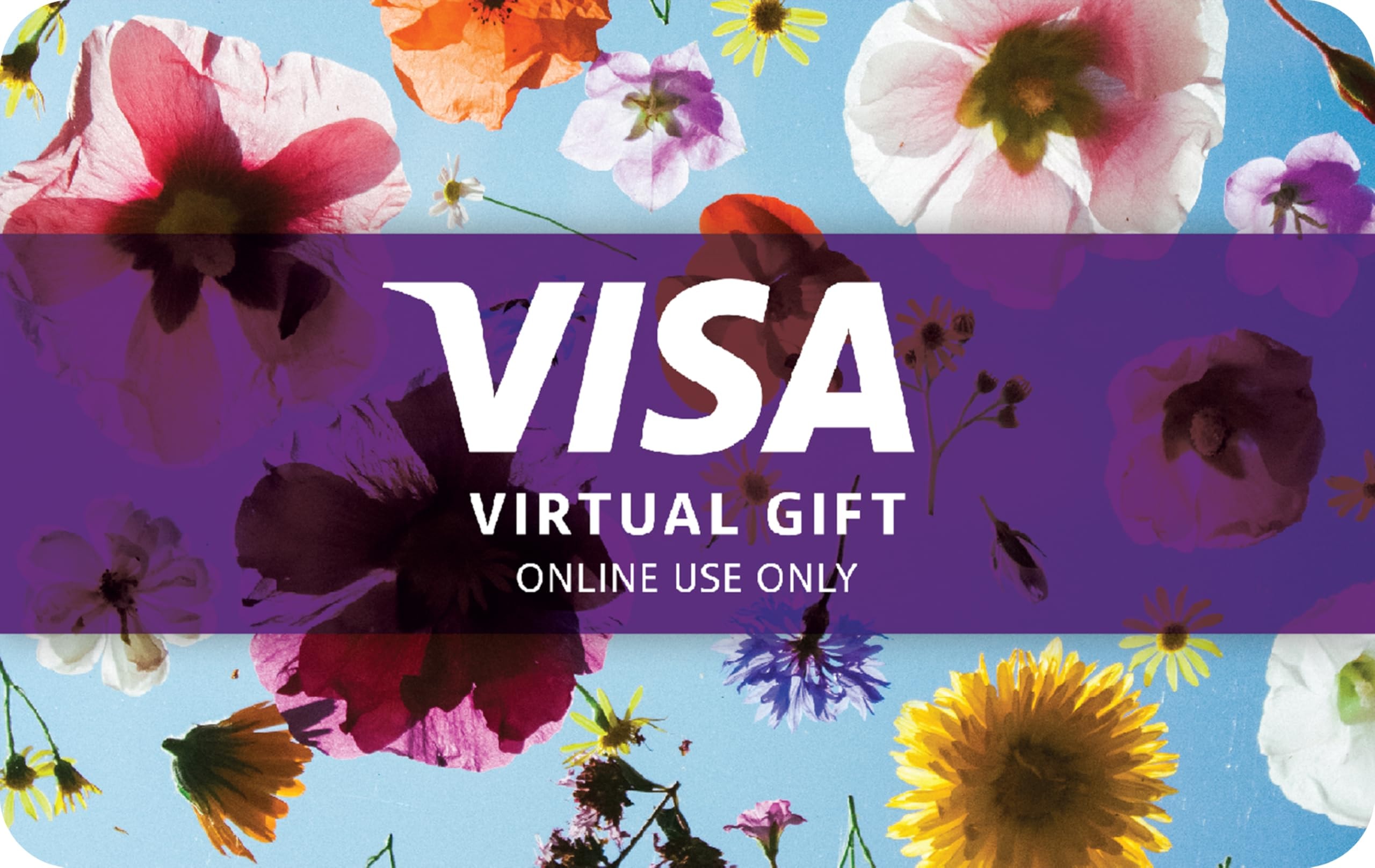 Visa Virtual $50 eGift Card (plus $4.95 Purchase Fee) - For Online Use Only - Image 2