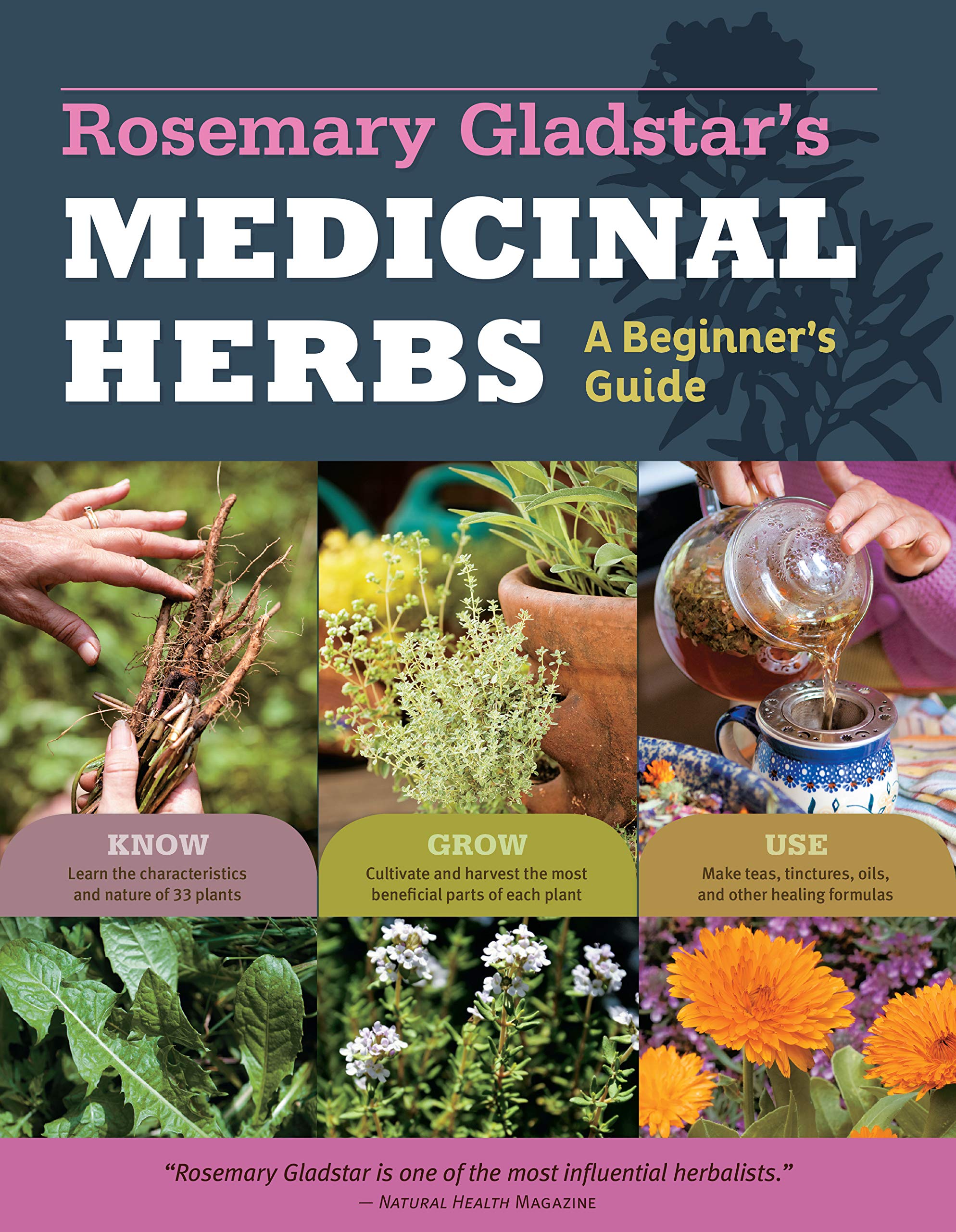 Rosemary Gladstar's Medicinal Herbs: A Beginner's Guide: 33 Healing Herbs to Know, Grow, and Use thumbnail 1