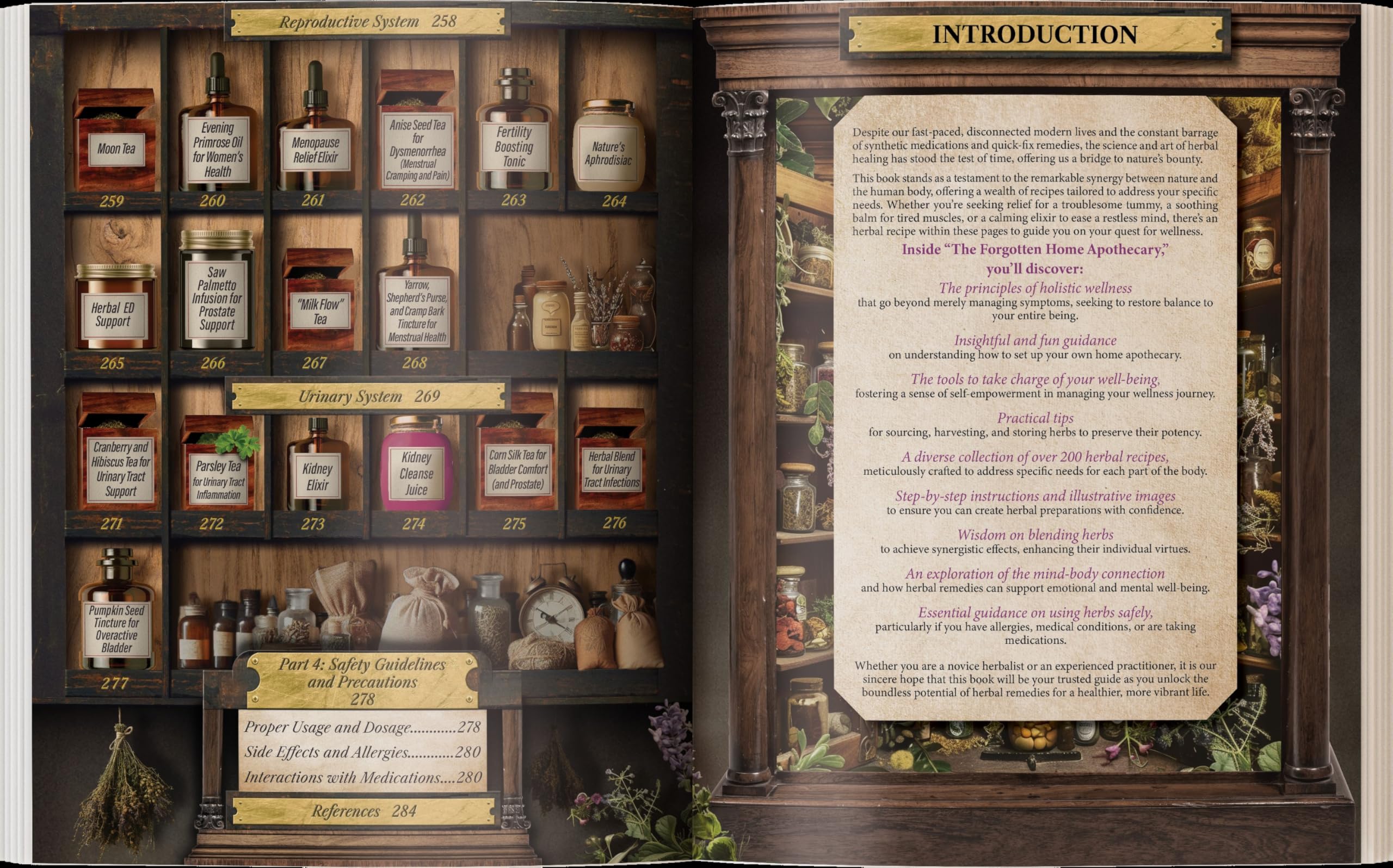 Forgotten Home Apothecary : 250 Powerful Remedies at Your Fingertips: Paperback