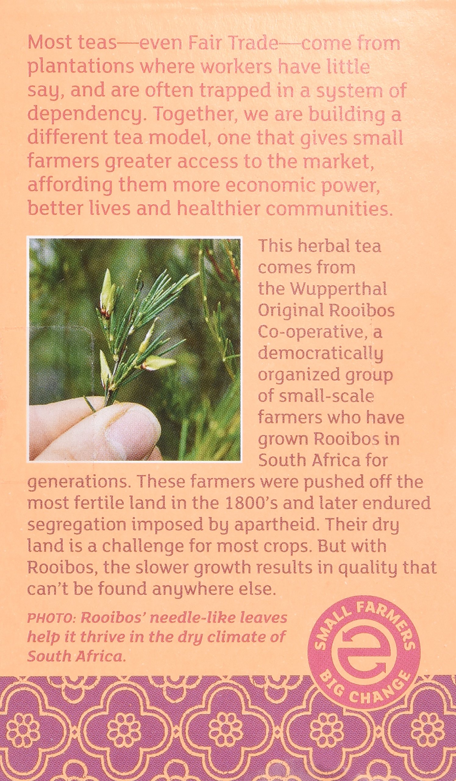 Equal Exchange Organic Vanilla Rooibos Tea, 20-Count (Pack of 3) thumbnail 3
