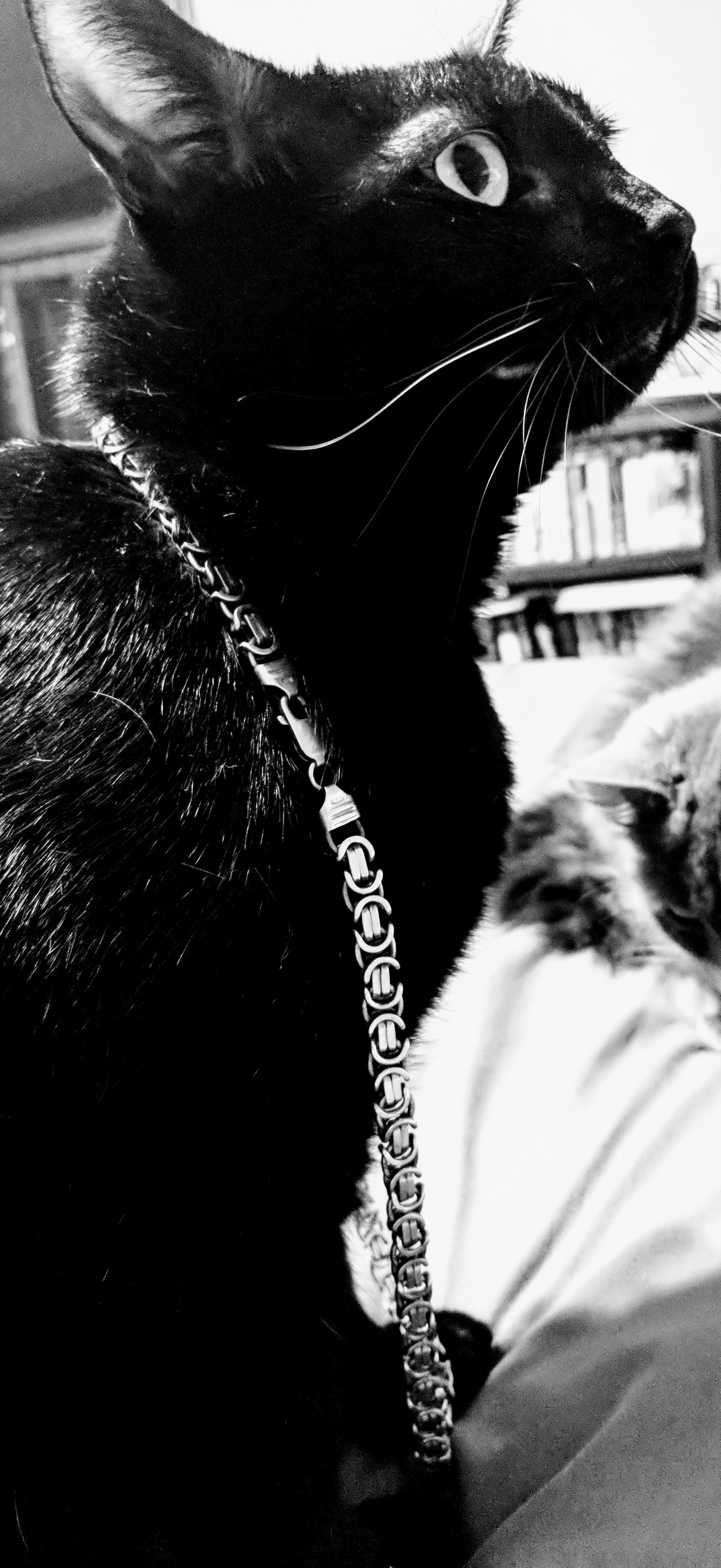 Profile background