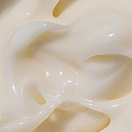 Cosmic Cream by Moon Juice - Vegan Collagen Protecting Moisturizer - Adaptogenic Dewy Face Lotion with Ashwagandha, Emollient Fatty Acids & Mushroom - Clean, Cruelty-Free & Sustainably-Sourced (1.7oz)