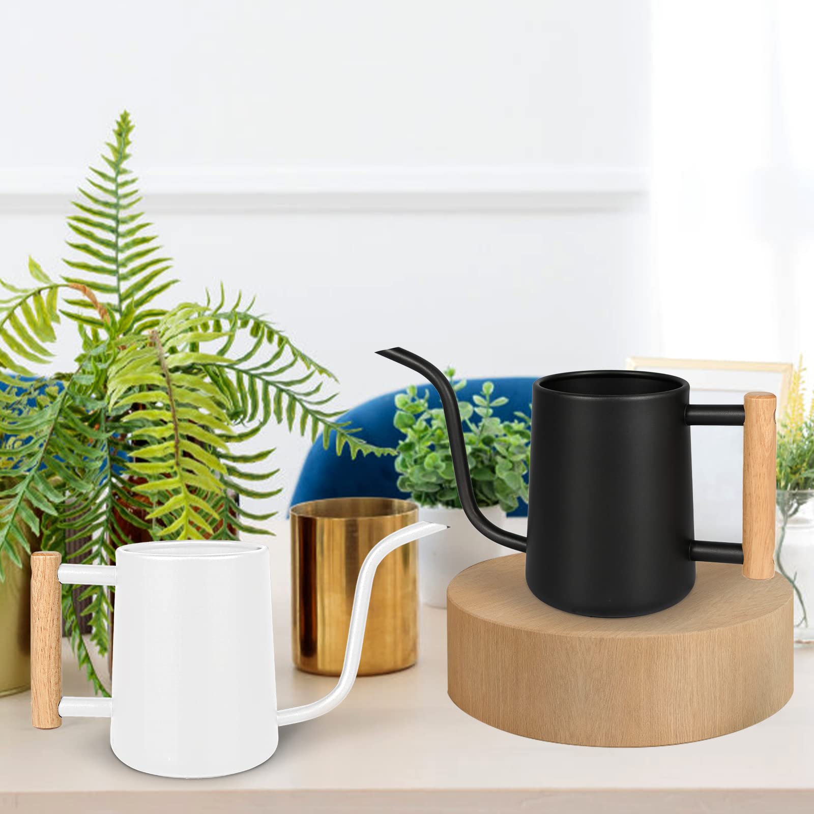 Watering Can Indoor Plants, 35 oz/1000 ml Metal Stainless Steel Watering Can Pot with Long Spout for Indoor House Plants Bonsai Outdoor Garden Flower Decorative ()