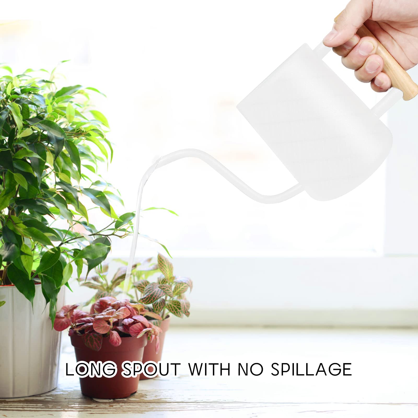 Watering Can Indoor Plants, 35 oz/1000 ml Metal Stainless Steel Watering Can Pot with Long Spout for Indoor House Plants Bonsai Outdoor Garden Flower Decorative ()