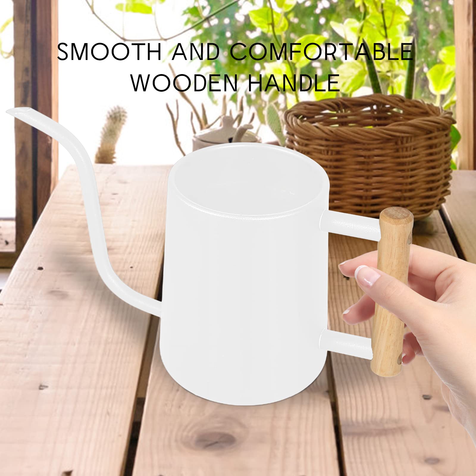 Watering Can Indoor Plants, 35 oz/1000 ml Metal Stainless Steel Watering Can Pot with Long Spout for Indoor House Plants Bonsai Outdoor Garden Flower Decorative ()
