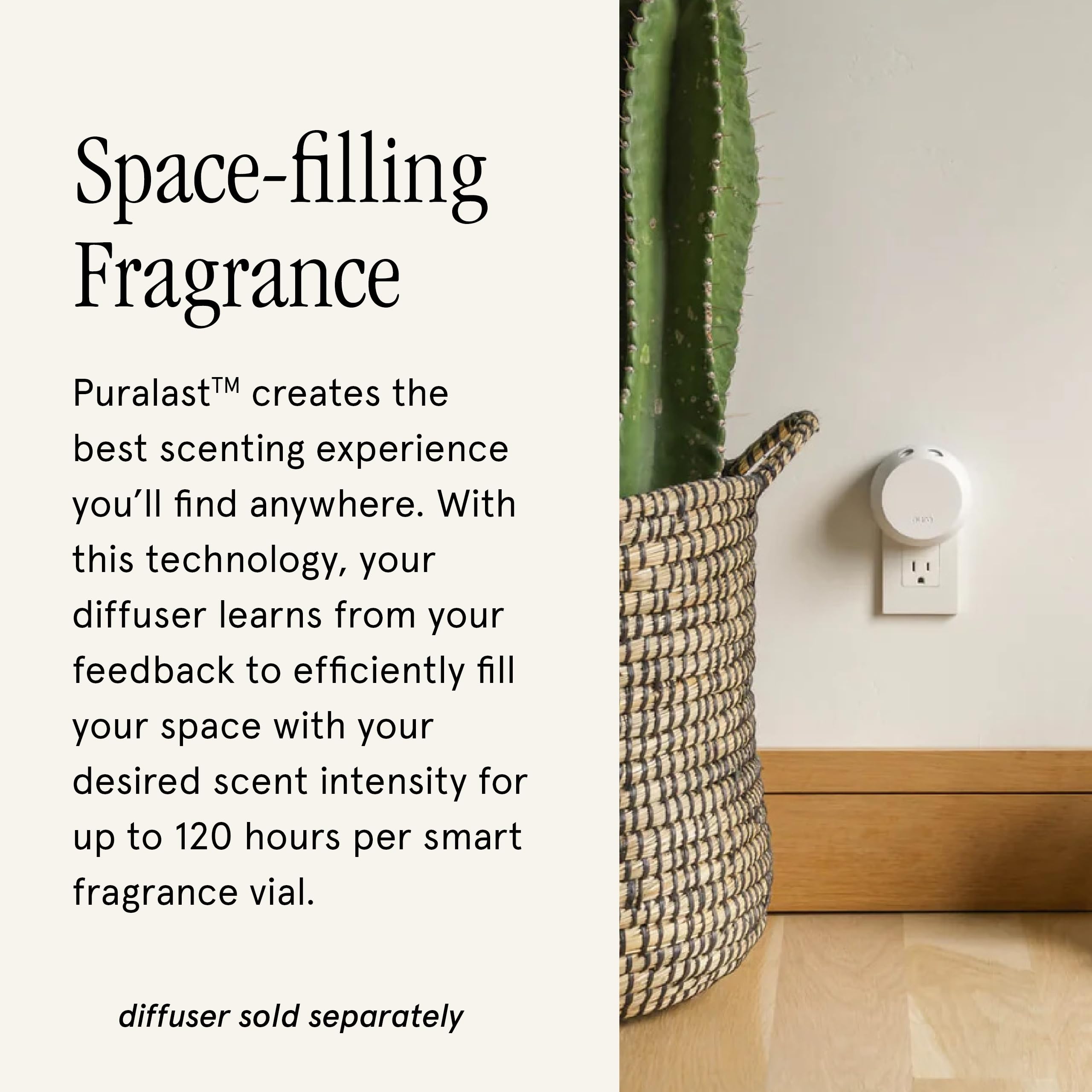 Pura & Brooklyn Candle Studio Home Scent Refill - Smart Air Diffuser - Up to 120-Hours of Luxury Fragrance per Refill - Home Essential - Clean & Safe Diffuser Fragrance - 2 Pack, Woodsmoke