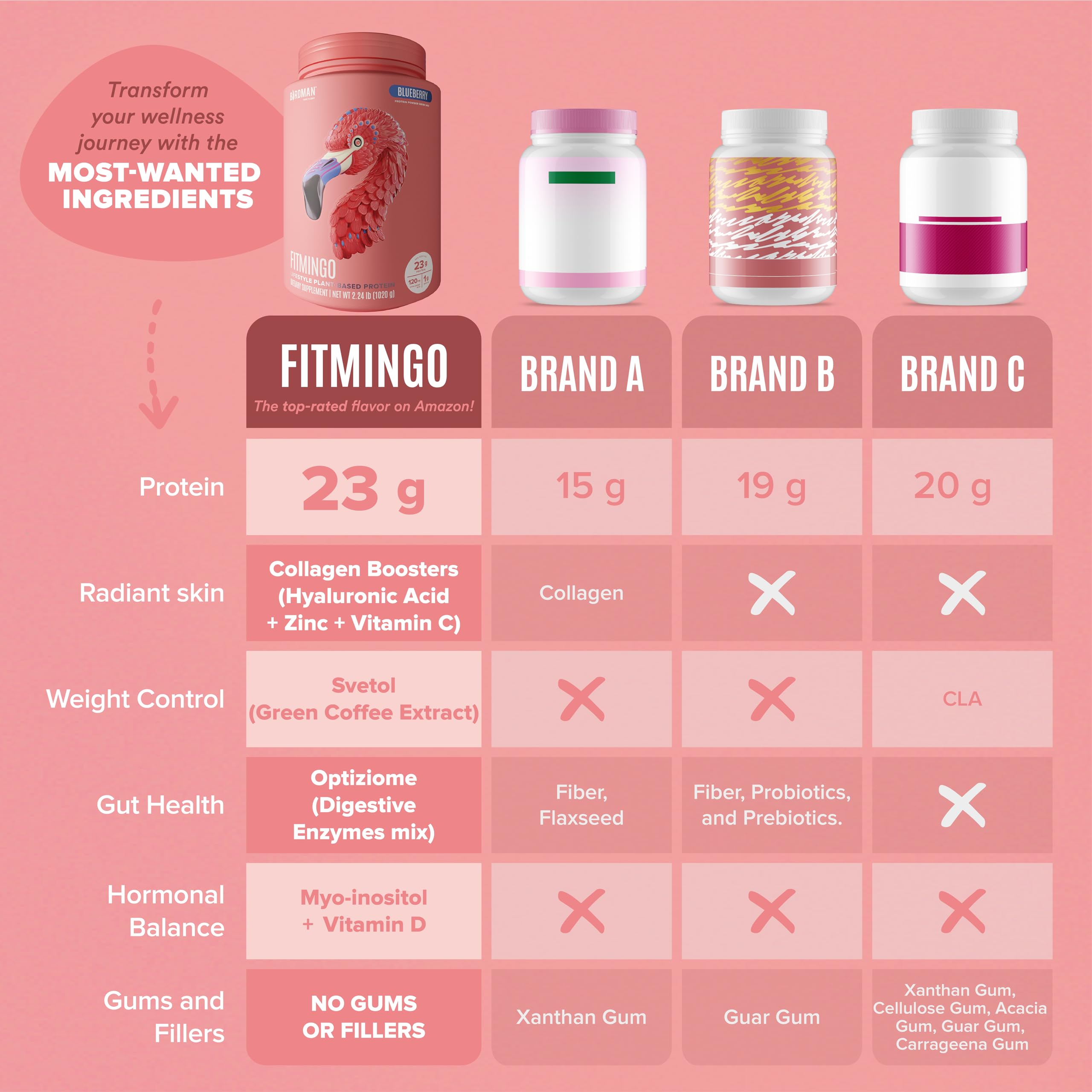 BIRDMAN Fitmingo Vegan Protein Powder with Inositol, Collagen Boosters, Hyaluronic Acid and Vitamins | Low Carb, Dairy Free, Lactose Free, Low Calorie, 23g Plant Based Blueberry Protein Powder